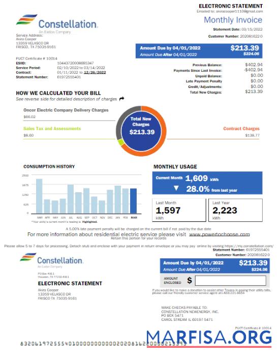 Blank USA CONSTELLATION utility bill Word and PDF template